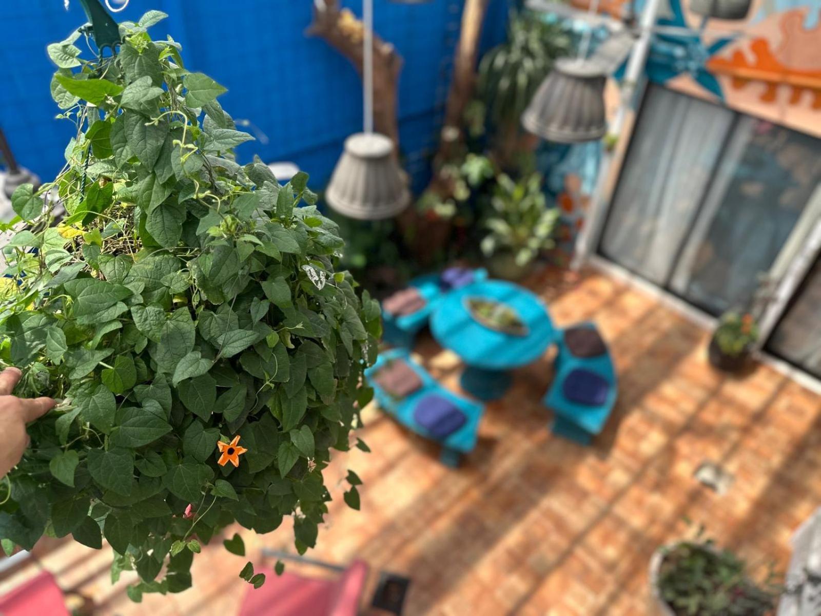 Jungla Urbana, Bnb Pavas Extérieur photo