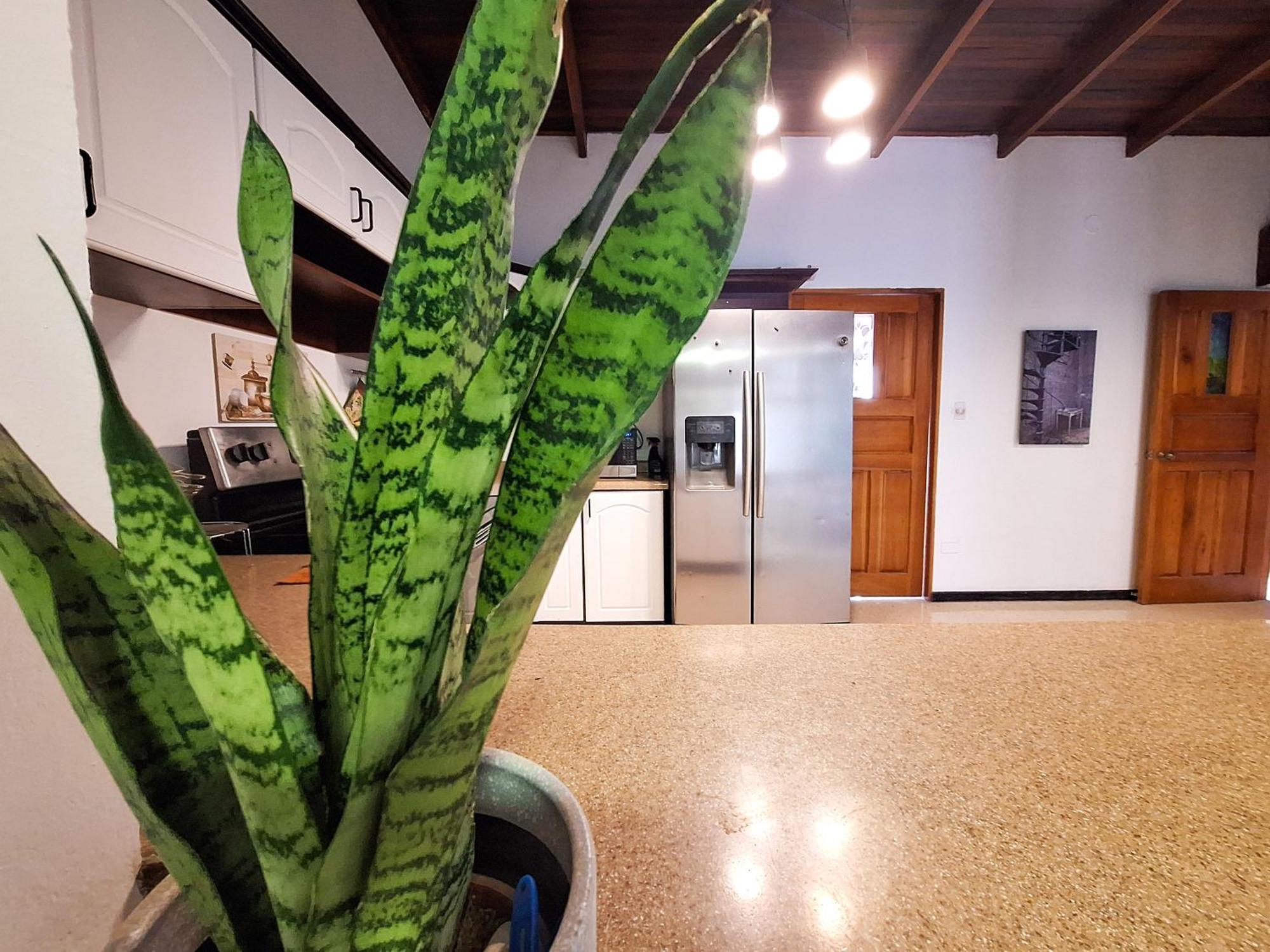 Jungla Urbana, Bnb Pavas Extérieur photo